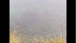 Природа Иркутской области