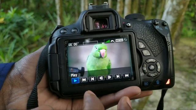 Canon 700D Video Setting Tutorials For Beginner смотреть онлайн