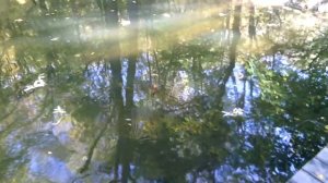 Рыбалка на форель в Крыму