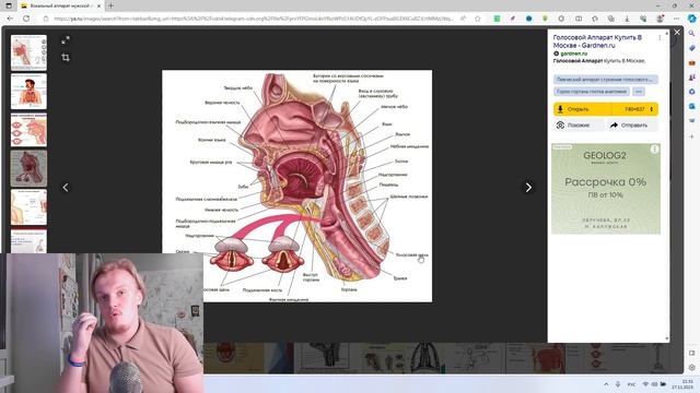 Тенор о технике пения/Как Физически брать красивые Верхние Ноты смотреть онлайн