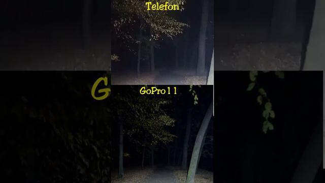 Telefon vs GoPro11 Miazga