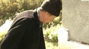 Как жимолость каприфоль уходит в зиму