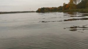 ЗАМЕР СКОРОСТИ С 1 ЧЕЛОВЕКОМ НА ЛОДКЕ RIB  НАВИГАТОР 460R PRO ПОД МОТОРОМ YAMAHA 40VEOS