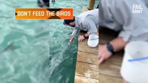 Best Animal Fails of 2020   FailArmy