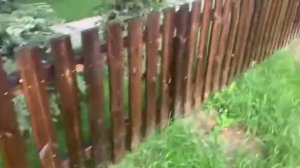 Забор из каменного дерева в КП Дубрава