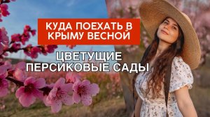 Крым весной | Где цветут персиковые сады