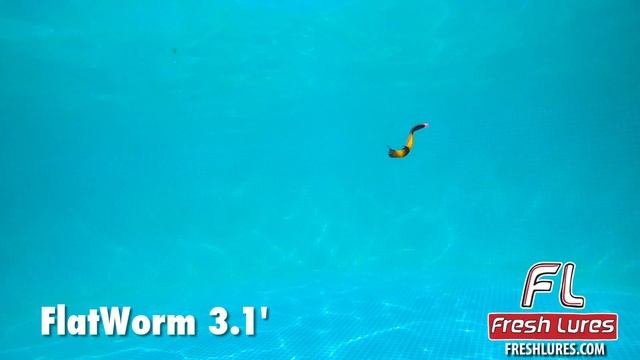 Форелевые приманки Fresh Lures / FL / FreshLures  - FlatWorm: игра в воде.