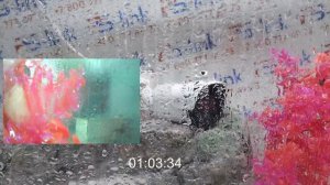 Тестирование камеры PS-link AHD108C на степень защиты IP66