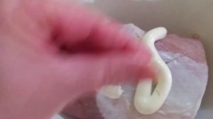 Мясо, шпигованное овощами