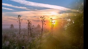 Предчувствие... (автор слов: Григорий Поженян, автор музыки: Эльмира Галеева)
