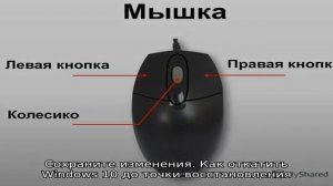 Параметрами защиты от вирусов и угроз управляет ваша организация - что это и как убрать