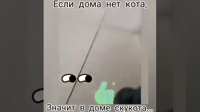 Если дома нет кота, значит в доме скукота🙃