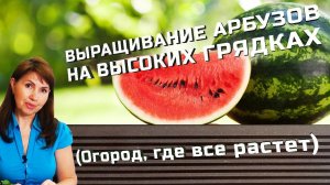 Выращивание арбузов на высоких грядках (Огород, где все растет)