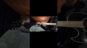 Гитара Washburn EA 20 модель как у Виктора Цоя в чёрном