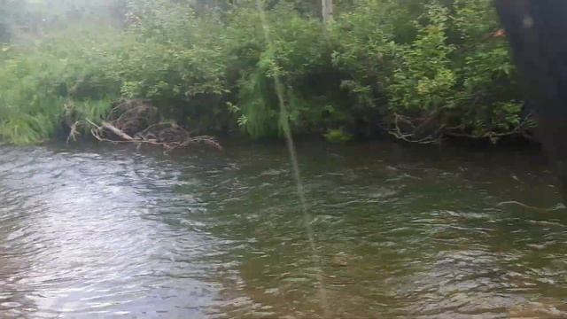 Рыбалка на Хариуса конец Августа 2021 смотреть онлайн