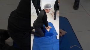 Искусственное дыхание и непрямой массаж сердца