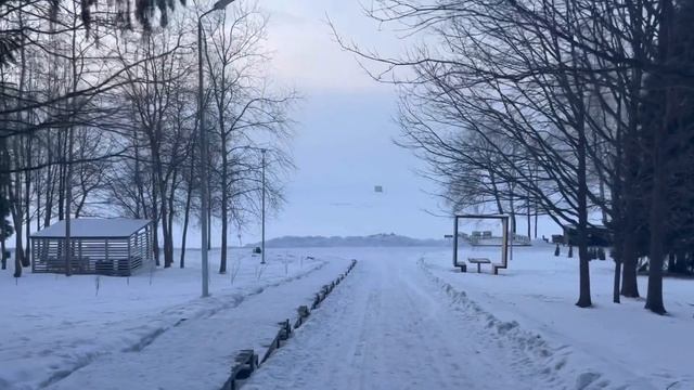 База отдыха "Босиком" / Февраль 2023 / Истринское водохранилище / Красивая природа Подмосковья
