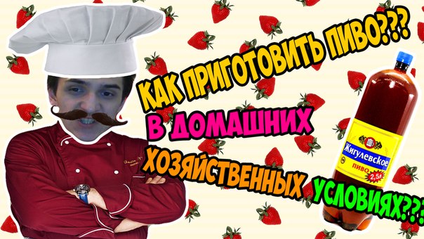 КАК ПРИГОТОВИТЬ ПИВО В ДОМАШНИХ ХОЗЯЙСТВЕННЫХ УСЛОВИЯХ