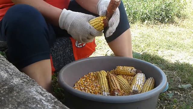 Кроме стройке у меня есть ещё другая робота ☺ смотреть онлайн