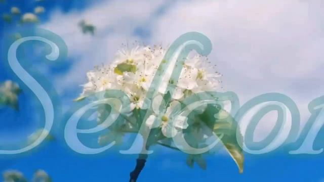 Лахти - Зелёная столица Европы 2021 : Май