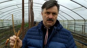 Всё про посадку малины. Что да как и почему )