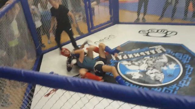 1-е Первенство КСЕ Пальмира по ММА