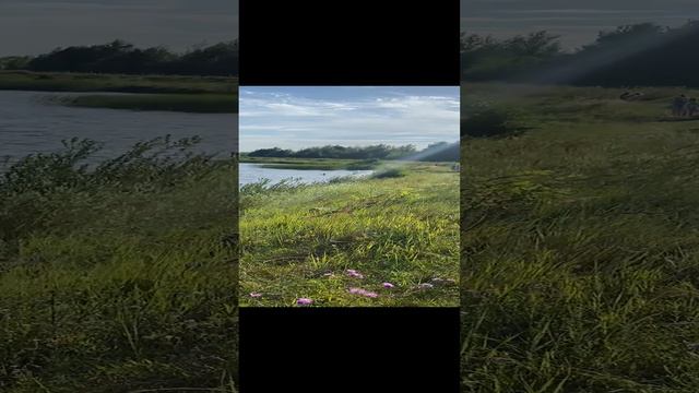 Красота рядом с домом смотреть онлайн