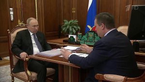 Как повысить доходы людей, президент обсудил с новгородским губернатором