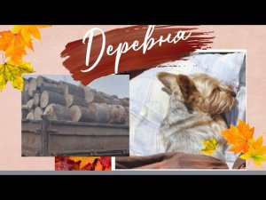 ДЕРЕВНЯ. Влог не получился ♀️/ наконец-то привезли дрова