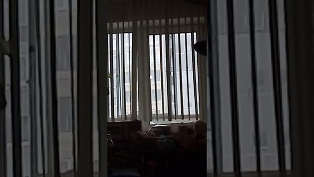 просто так не чего не бывает🙂) смотреть онлайн