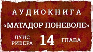 Аудиокнига "МАТАДОР ПОНЕВОЛЕ", глава 14, Луис Ривера