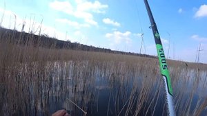 Март Весна Рыбалка Ловля карпа на боковой кивок в карьере . My fishing