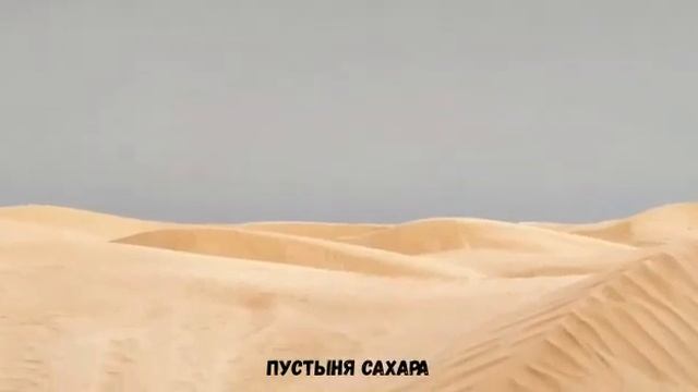 Отпуск в Тунисе Джерба Сахара Tunisia Djerba смотреть онлайн