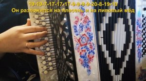 ВСЁ ИДЁТ ПО ПЛАНУ / Разбор на гармони