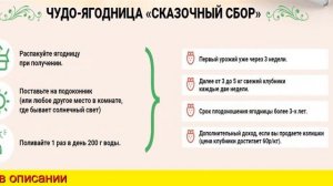 Домашний Набор Чудо Клубника Сказочный Сбор - Официальный Сайт, Заказать