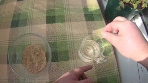 krill meal крилевая мука, мука из креветки