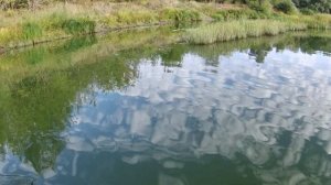 Рыбалка в Самаре. Белозёрки, река Сок. На спиннинг с лодки