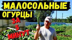 Малосольные Огурцы Быстрого Приготовления || Cucumber Salad Fast Recipe #16