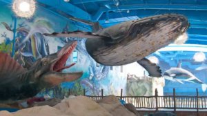 АКВАПАРК Самый большой крытый аквапарк Юрского периода Классный семейный отдых Aquapark 