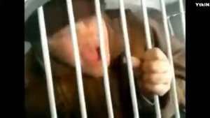 Терминатор приколы