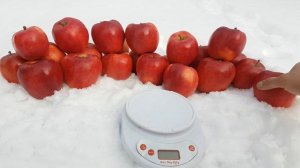 Apple Red Delicious | ЯБЛОКО РЕД ДЕЛИШЕС