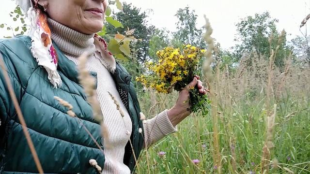 Прикольно! На тракторе за луговыми травами! Прелести сельской жизни. Сельский туризм