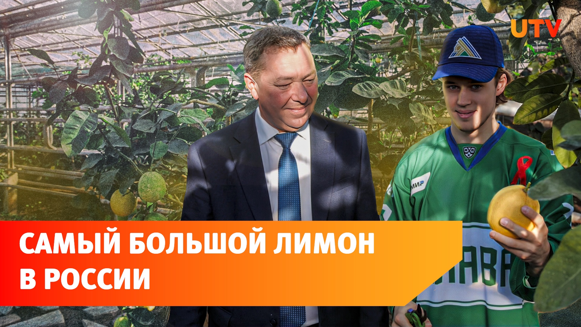 В Уфе выращивают самый большой в России сорт лимона