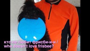 КАРЛИКОВЫЙ ПУДЕЛЬ: 2 мес. - 2 года ? Черно-коричневый ? MINIATURE POODLE: 2 months - 2 years ?