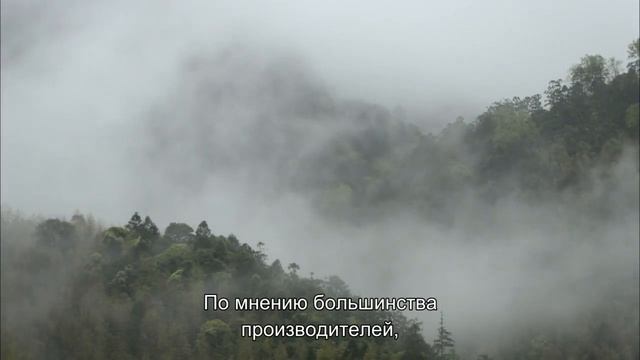 The TEA/Чай история одного листа.  1 серия Родина