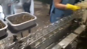 Волгоградский консервный завод