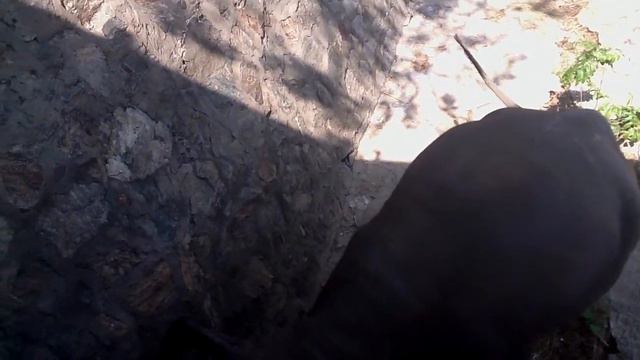 Кхао кхео 8 смотреть онлайн