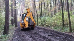 Мытищинский лесопарк и строительство дорожек