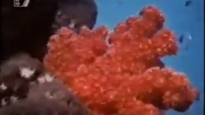 Sabotaged Vintage Scuba Woman nearly drowns