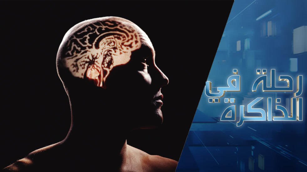 الدماغ: سيرة ذاتية. كيف تغيرت تصورات البشر عن الدماغ ووظائفه؟